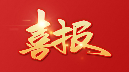 弘典咨询在2020年工程造价咨询企业经济鉴证类咨询收入排名中，位于全国第65名