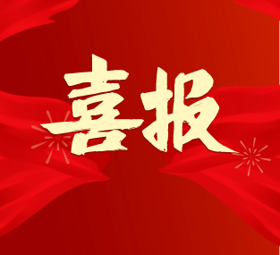 喜报！弘典咨询获评“2021年度优秀招标采购代理机构”